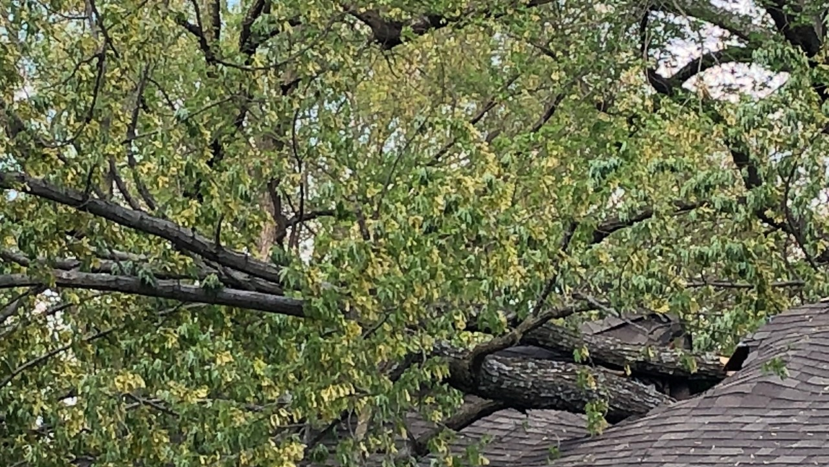 Tree comes down on roof of south KC home Wednesday