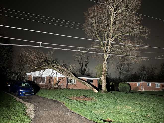 Family uninjured after tree falls on Union Township home during Sunday ...