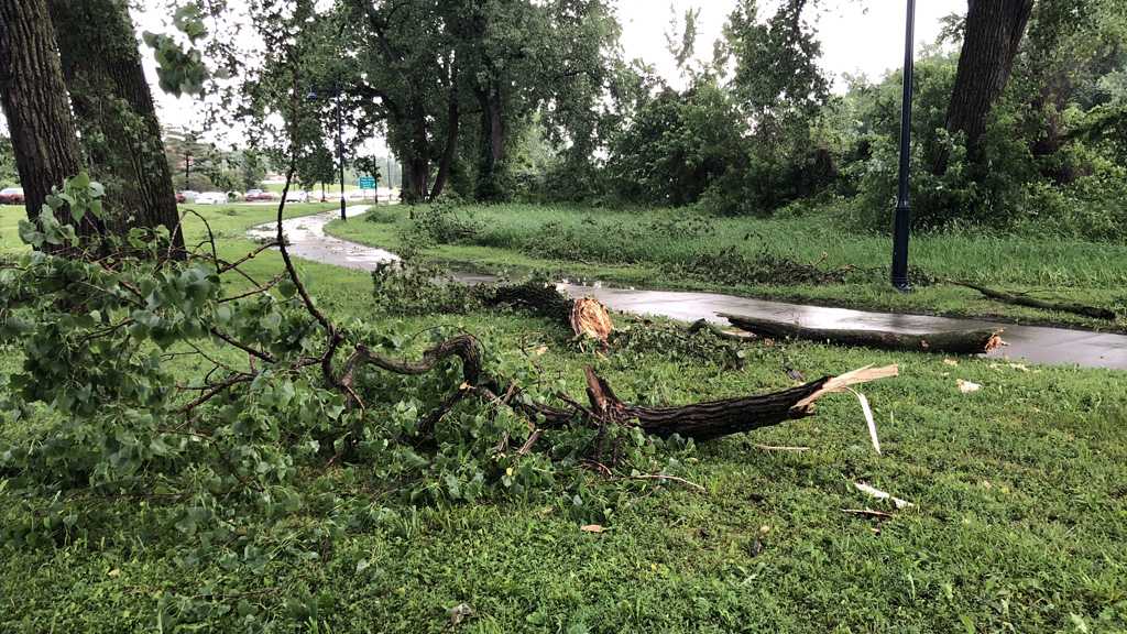 Central Iowa storms down trees, leave thousands without power