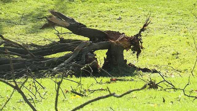 National Weather Service rates Highland County tornadoes - Vimarsana News