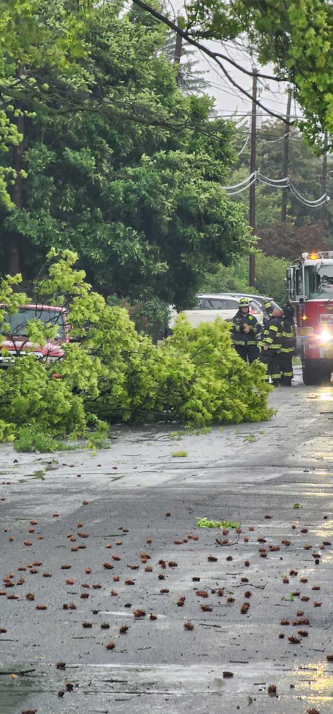 Branches in Mount Joy snapped power lines and a car.