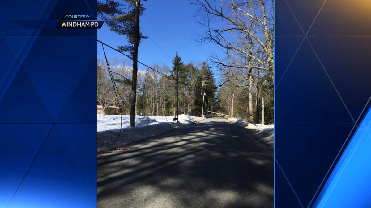 Strong winds bring down trees, cause power outages