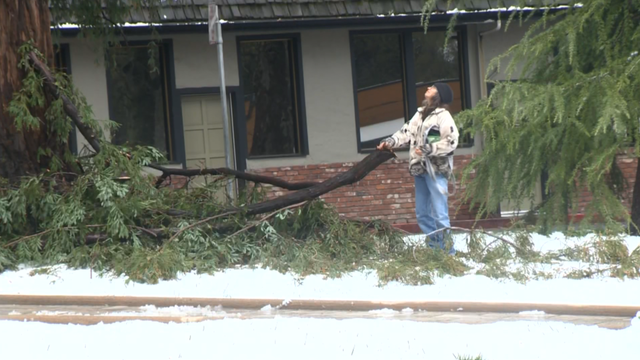 Spring snowstorm downs trees, causes power outages in Sonora - Vimarsana News