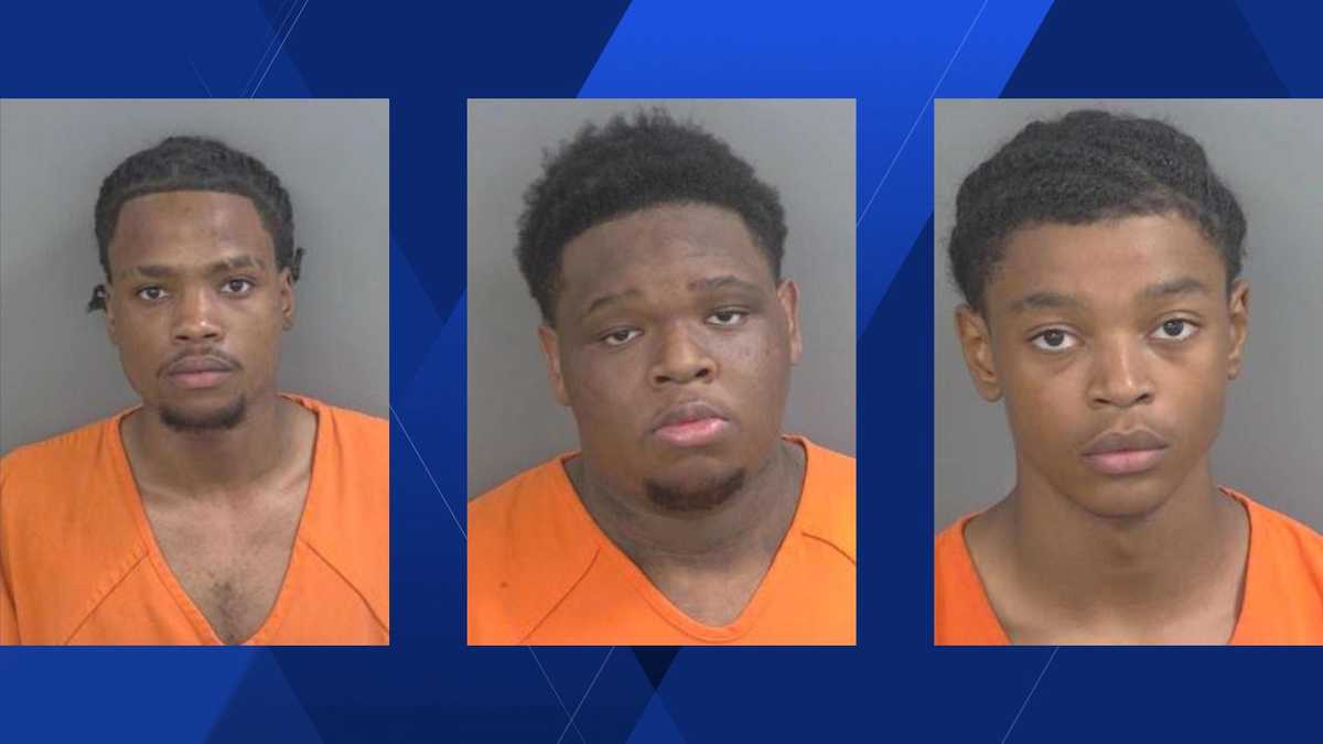 Trio arrested for vehicle burglary spree in The Crest at Naples apartments