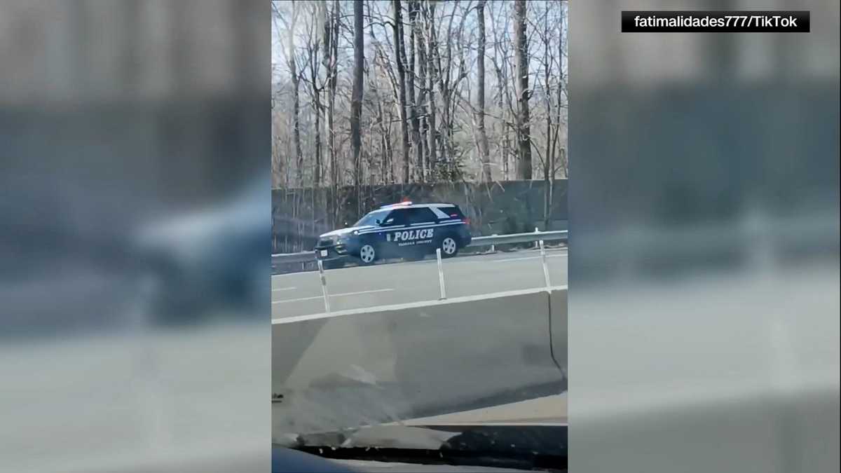 Man killed by state trooper after fatally stabbing woman and dog in ...