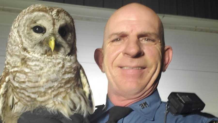 trooper tlumac taking his second selfie with a barred owl he rescued from the middle of a road, feb. 2023