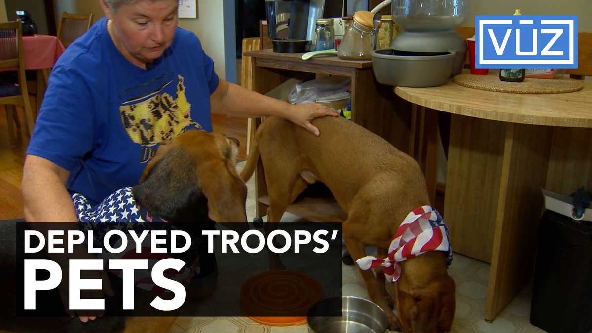 Dogs on Deployment takes care of dogs while their owners serve overseas