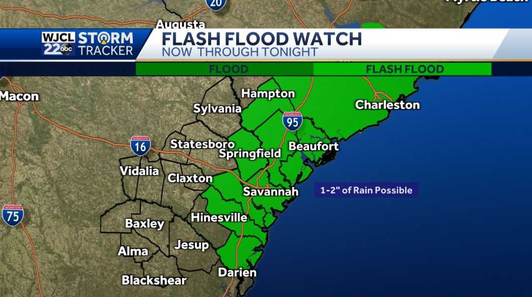 Impact Weather Day... On and off rain today with downpours - WJCL