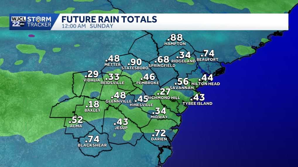Sunshine for New Year's Day, but tracking rain by the weekend - WJCL
