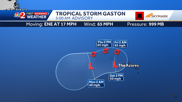 Tropical Storm Gaston: Warnings issues for islands - Vimarsana News