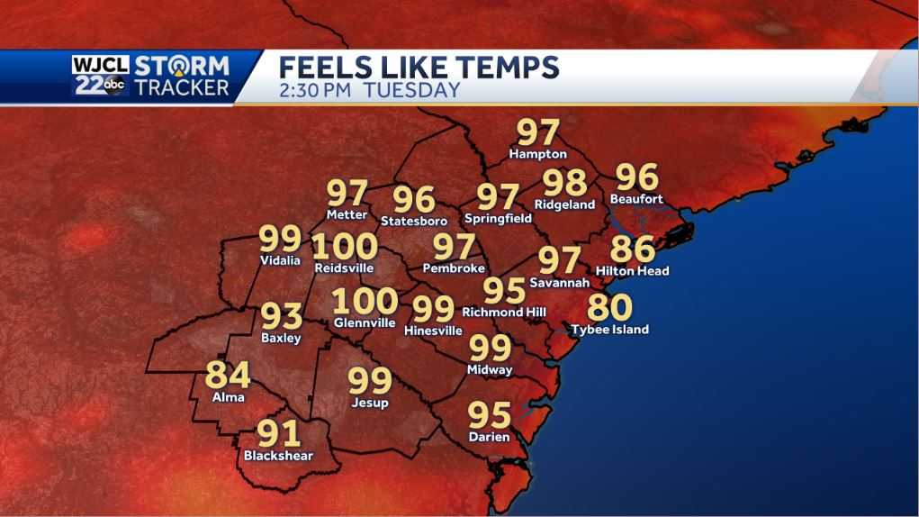 A hot afternoon with showers and storms after 1 pm - WJCL