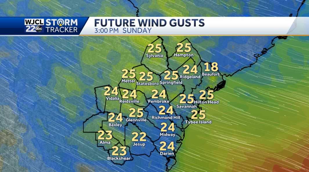 More sunshine for Sunday with a breezy afternoon - WJCL