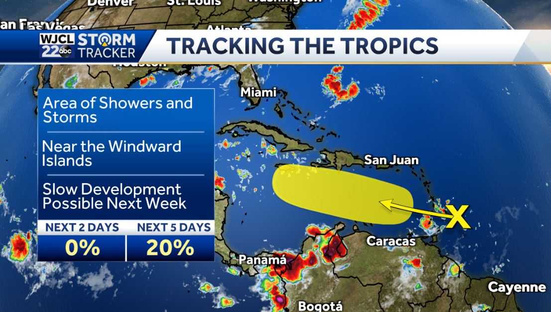 Umbrella needed today rain likely with downpours at times - WJCL