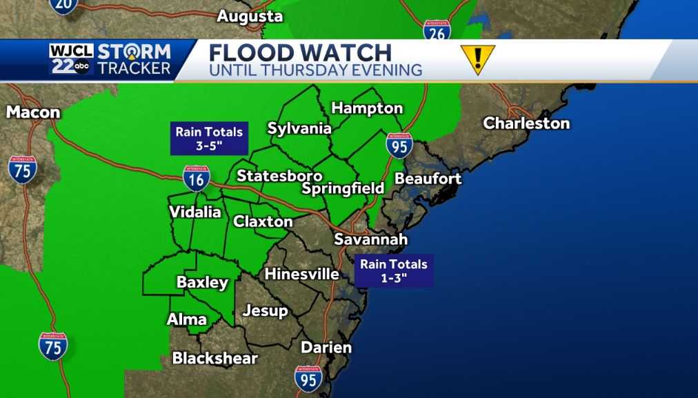 Georgia: Flash flood warning issued for portions near the coast - WJCL