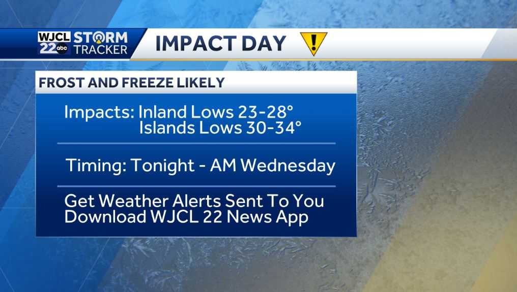 Impact Weather Tonight: Hard freeze likely with lows in the 20s - WJCL