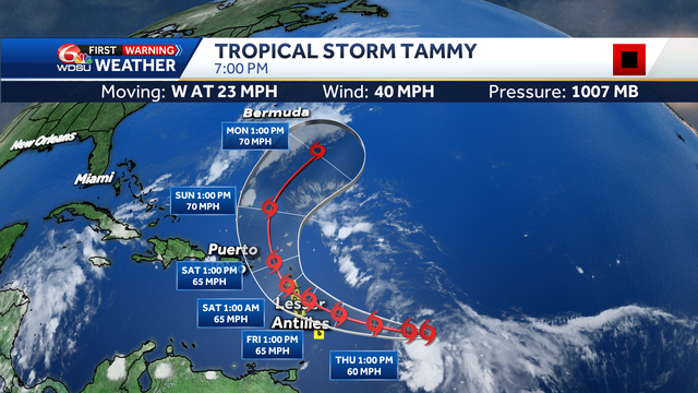 Tropical Storm Tammy forecast track strength hurricane - Vimarsana News