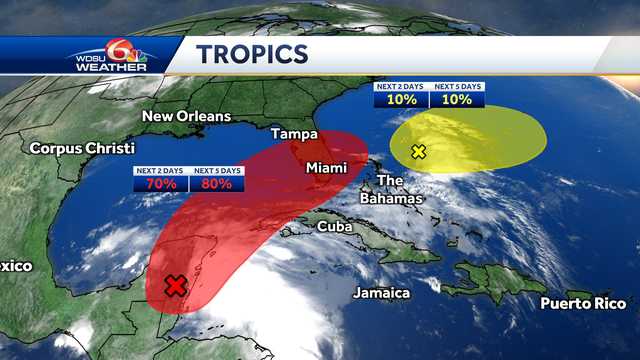 Florida likely to see Tropical Storm Alex - Vimarsana News