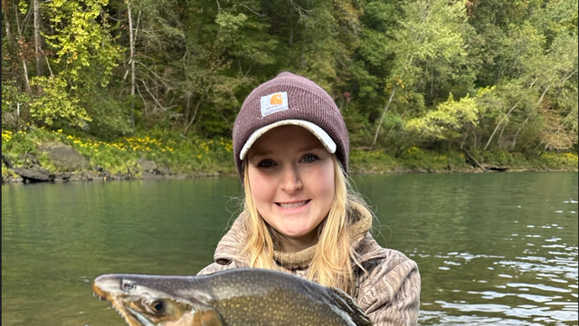 A record-breaking brook trout might have been caught and you could catch it again - Vimarsana News