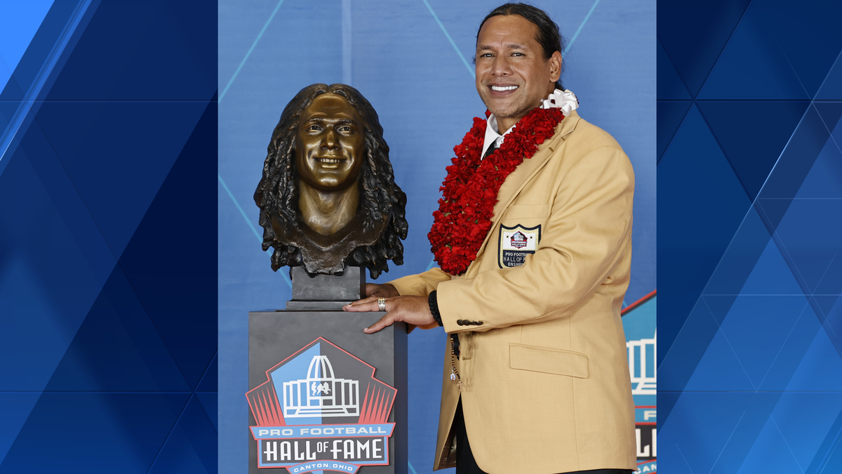 Troy Polamalu Elected to Pro Football Hall of Fame Class of 2020 - Samoa  Global News