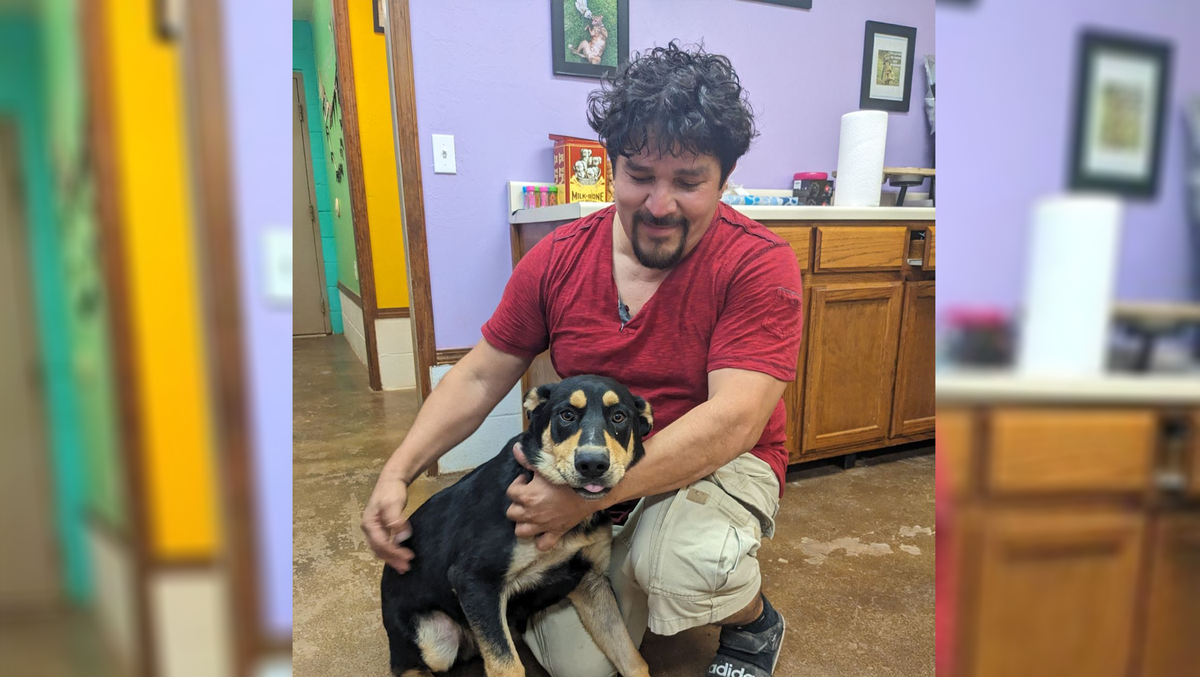 Trucker has emotional reunion with dog after losing him in Purcell