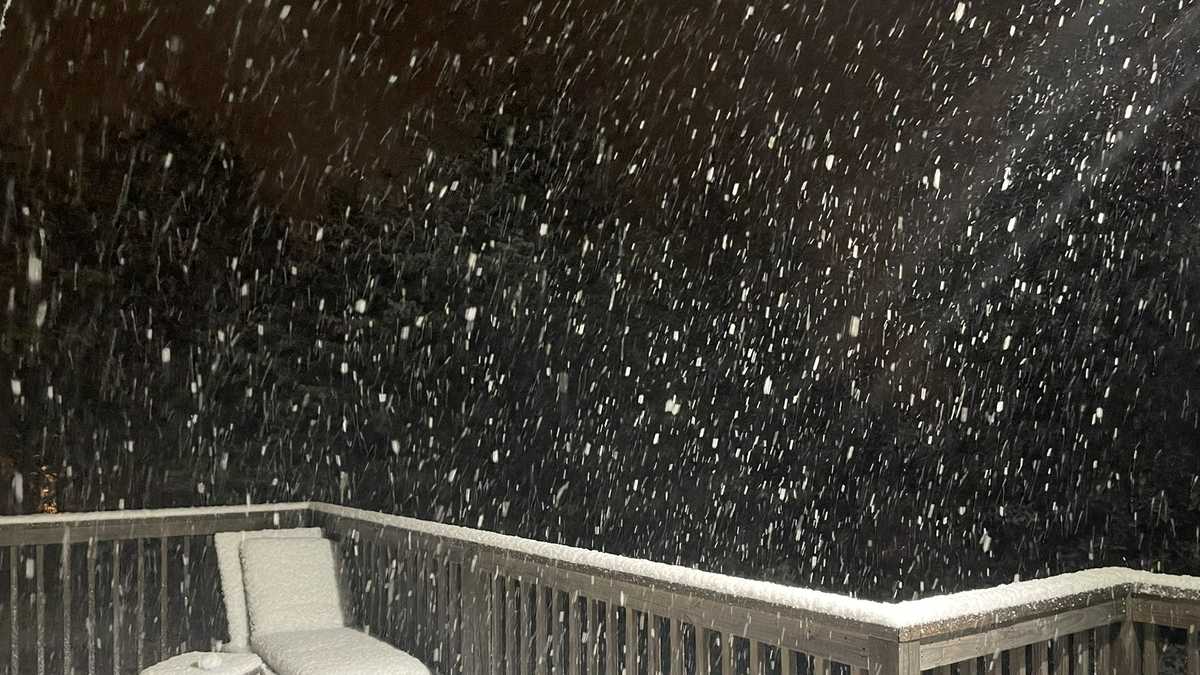 Photos of the snow in central Alabama January 2022 alwx