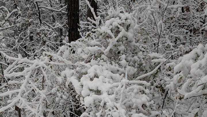 Snow totals: More than two inches of snow has fallen in some areas