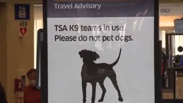 Savannah airport beefing up security ahead of St. Patrick's Day - Vimarsana News