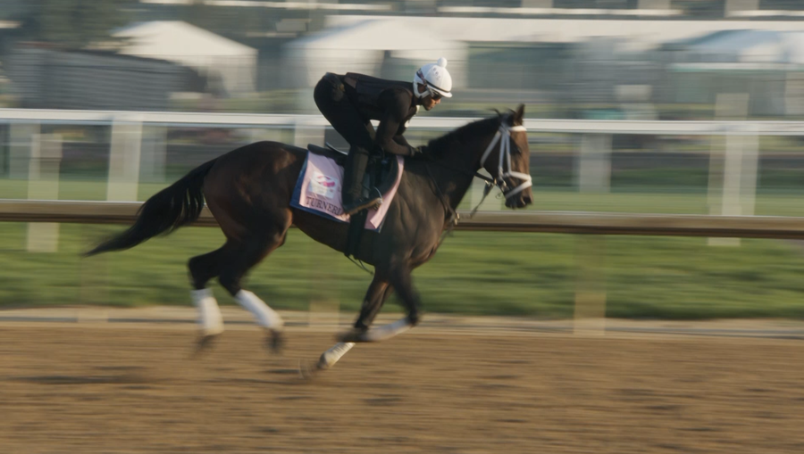 Meet the 2022 Kentucky Oaks horses