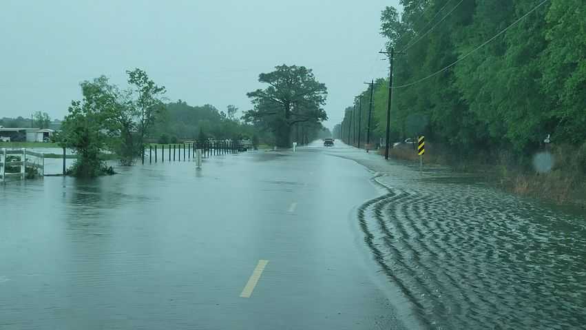 PHOTOS: Severe weather causes damage across Southeast, LA