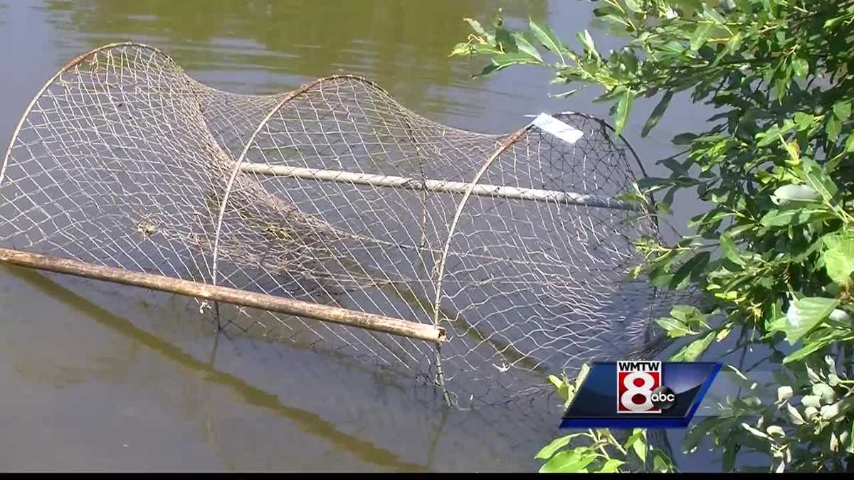 Portland: Those traps are to transport turtles, don't vandalize