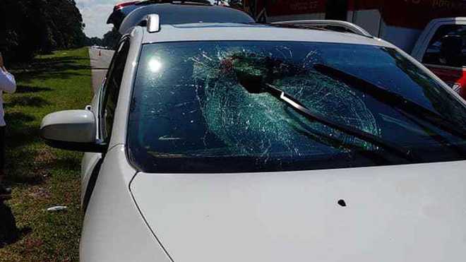 Photo&#x20;shows&#x20;a&#x20;vehicle&#x20;where&#x20;a&#x20;turtle&#x20;crashed&#x20;through&#x20;the&#x20;windshield&#x20;of&#x20;a&#x20;car&#x20;on&#x20;Interstate&#x20;95&#x20;near&#x20;Port&#x20;Orange,&#x20;Florida.