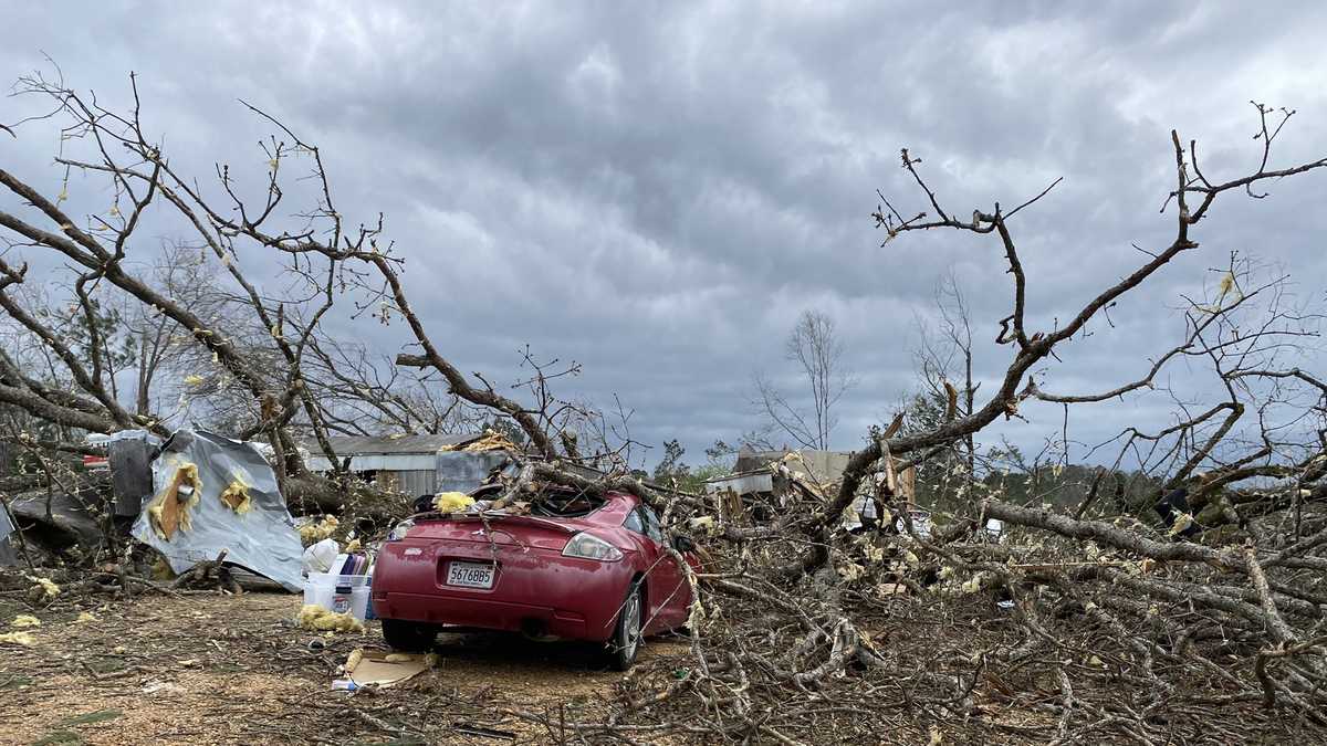 PHOTOS: Destruction across Alabama after tornado outbreak