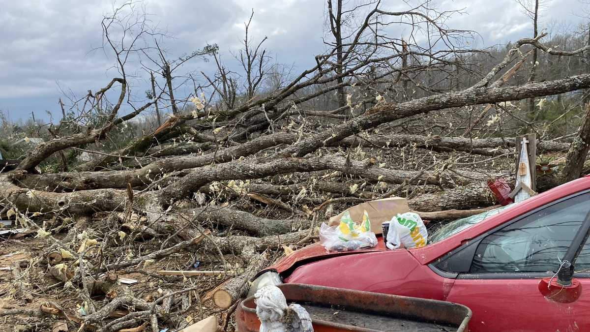 PHOTOS Destruction across Alabama after tornado outbreak