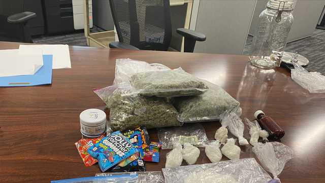 Tuscaloosa woman jailed on $3M bond after search reveals drugs - Vimarsana News