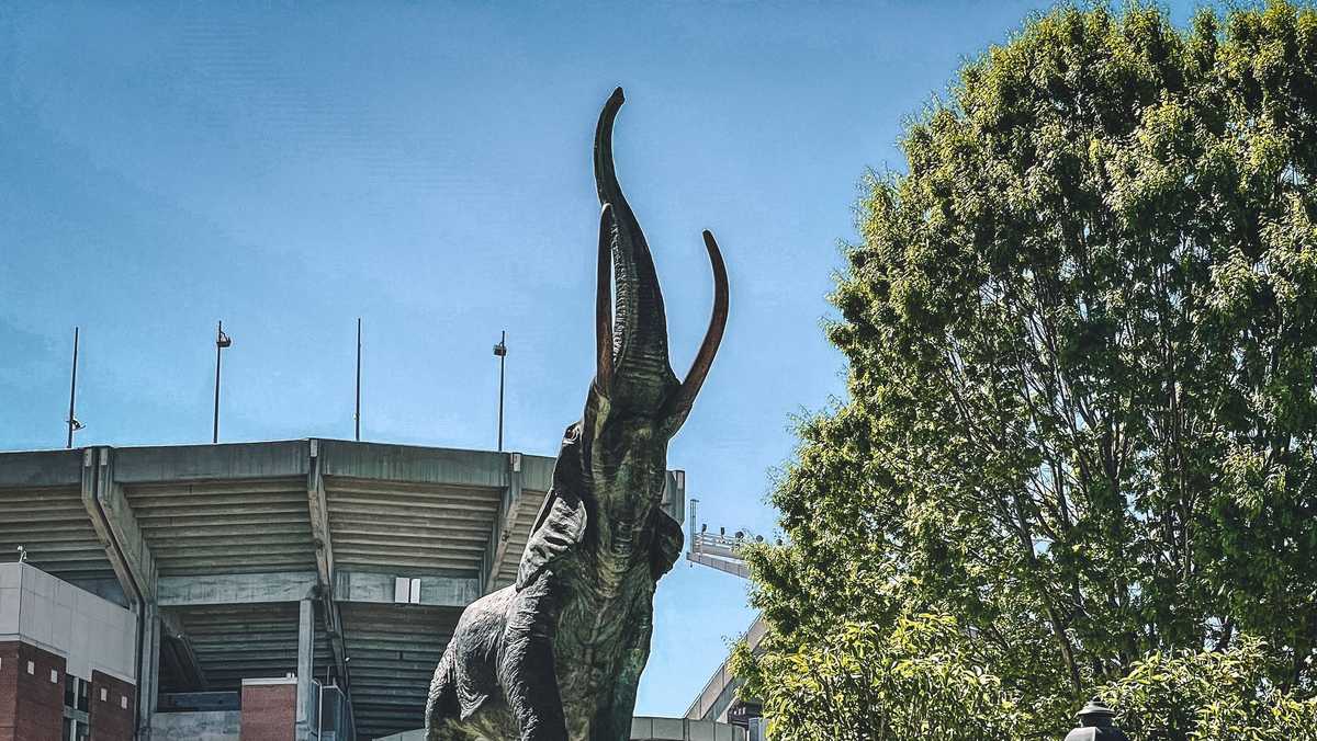 The Elephant Story - University of Alabama Athletics