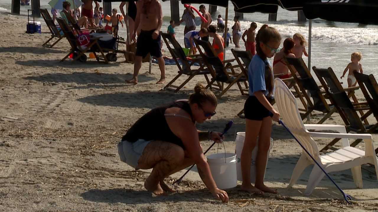 Chatham County: Tybee Island volunteers clean up beach - Vimarsana News