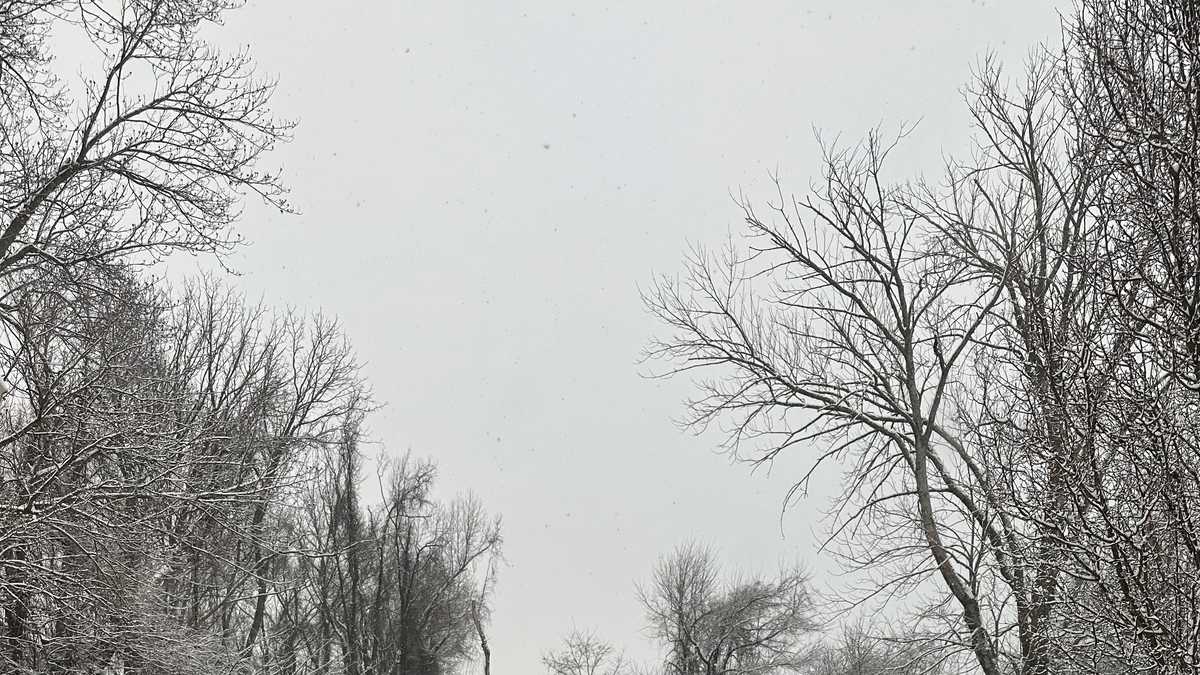 Second snowfall in a week in Maryland in photos