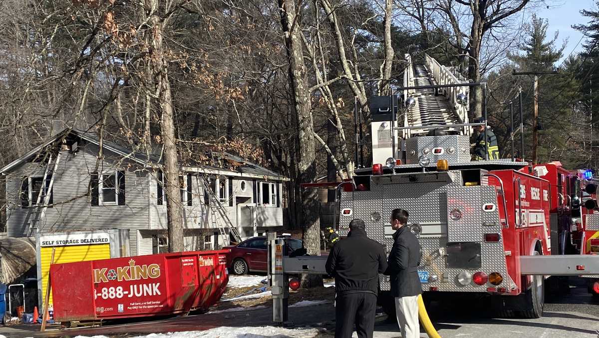 Woman, 29, two dogs dies in Tyngsborough house fire