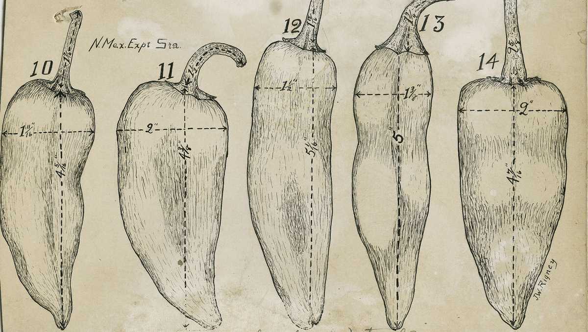 Fabián García: Father of the New Mexican food industry