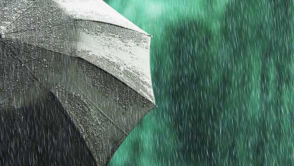 Louisville forecast: Dodging showers for Mother's Day Weekend - Vimarsana News