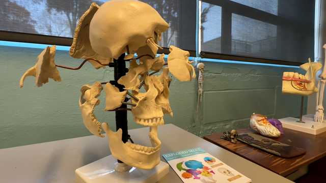CSI at UNH, cracking cold cases and solving mysteries 