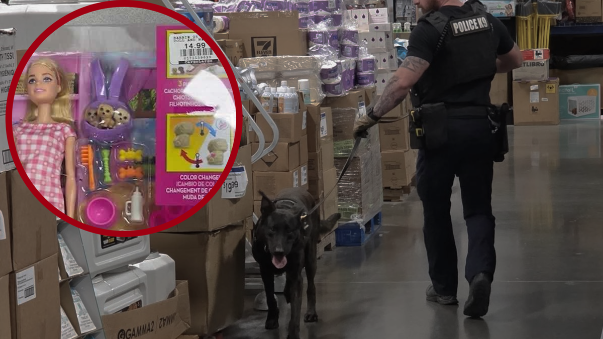 Testing identifies cocaine, fentanyl found in Barbie boxes sold at Missouri discount store