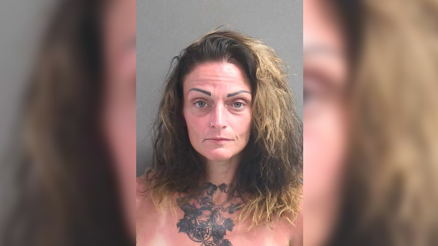 Volusia County dog owners facing felony charges after deadly January attack, deputies say