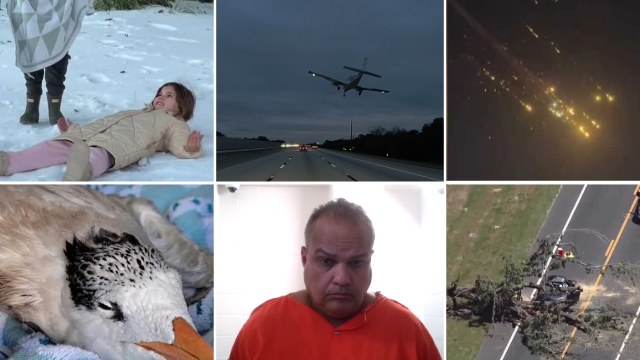 12 wild stories in Central Florida | Looking back at 2025