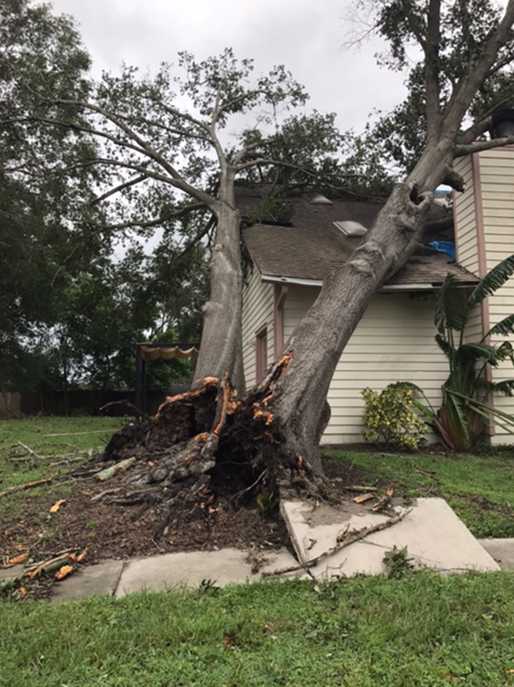 Central Florida viewers capture incredible photos of Hurricane Irma ...