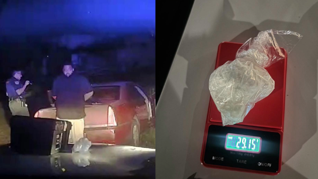 Brevard County traffic stop leads to cocaine trafficking arrest