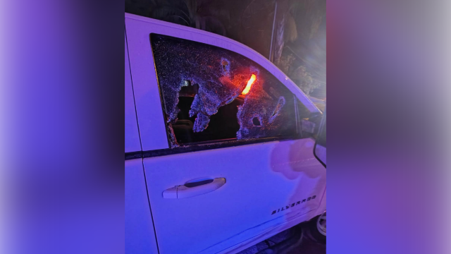 Juveniles stole vehicle, rammed patrol cars in Windermere, police say