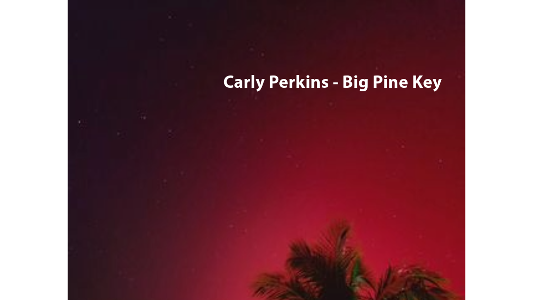 Photos Northern Lights seen across Southwest Florida