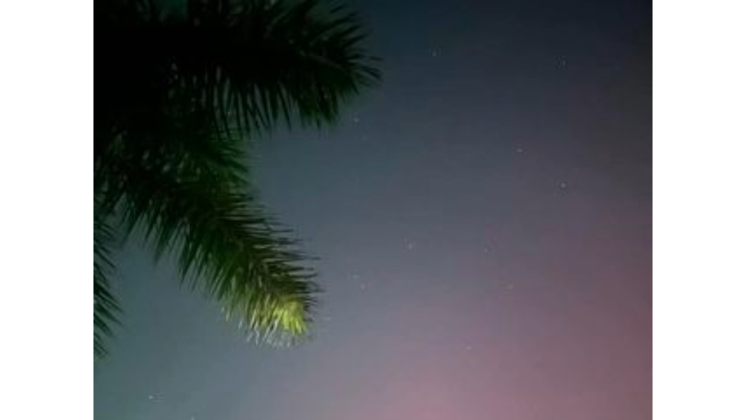Photos Northern Lights seen across Southwest Florida