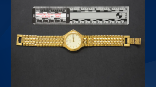 cold case victim identified